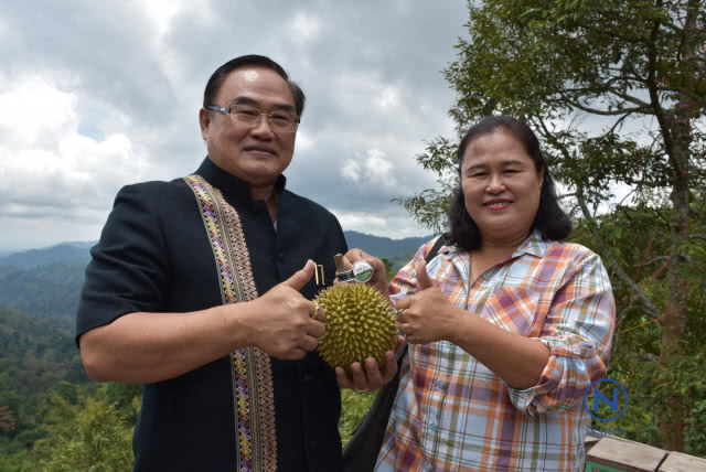 จัดทริป"ขึ้นดอยลับแลกินทุเรียนใต้ต้นในหุบเขา"คาดเงินสะพัดพันล้าน