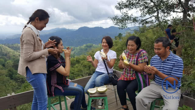 จัดทริป"ขึ้นดอยลับแลกินทุเรียนใต้ต้นในหุบเขา"คาดเงินสะพัดพันล้าน