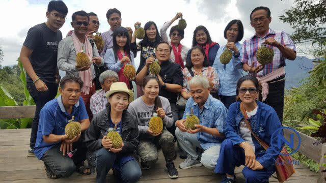 จัดทริป"ขึ้นดอยลับแลกินทุเรียนใต้ต้นในหุบเขา"คาดเงินสะพัดพันล้าน