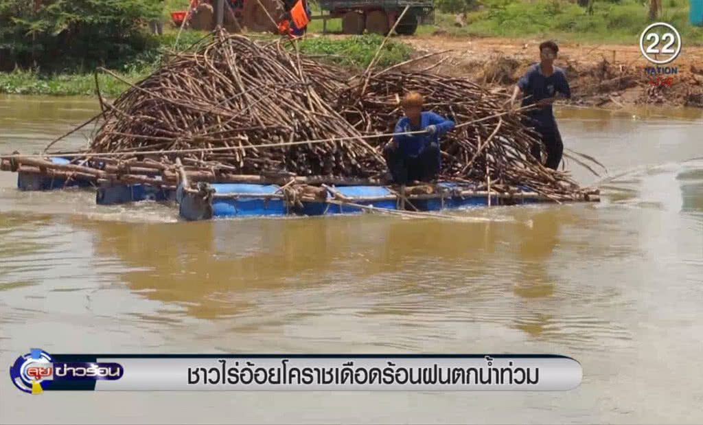 (คลิปข่าว) ชาวไร่อ้อยโคราชเดือดร้อน ฝนตกหนักน้ำท่วมต้องใช้แพขนอ้อย (คลิปข่าว) ชาวไร่อ้อยโคราชเดือดร้อน ฝนตกหนักน้ำท่วมต้องใช้แพขนอ้อย