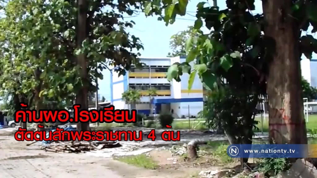 ค้านผอ.โรงเรียนตัดต้นสักพระราชทาน 4 ต้น(มีคลิป)