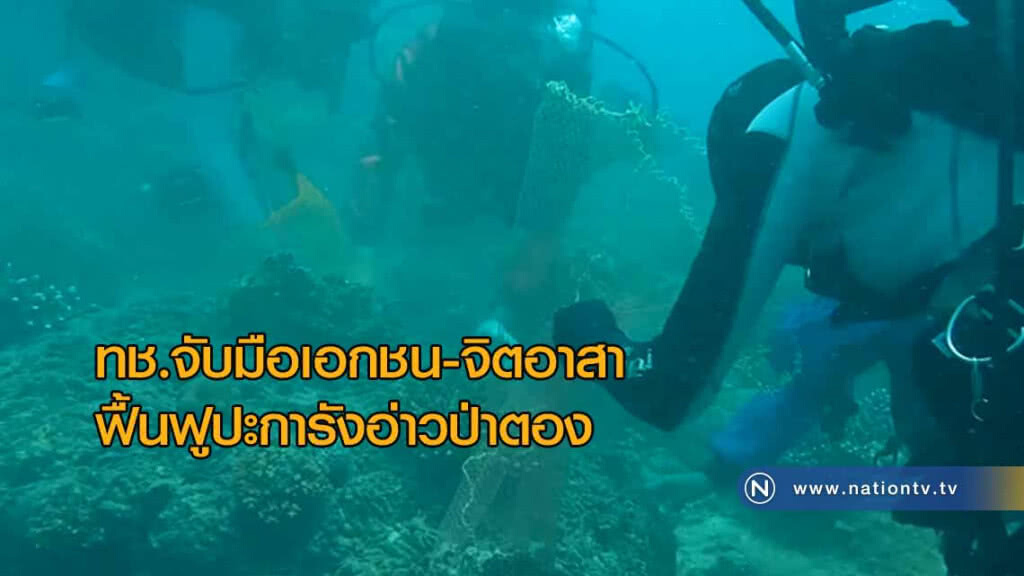 ทช.จับมือเอกชน-จิตอาสา ฟื้นฟูปะการังอ่าวป่าตอง