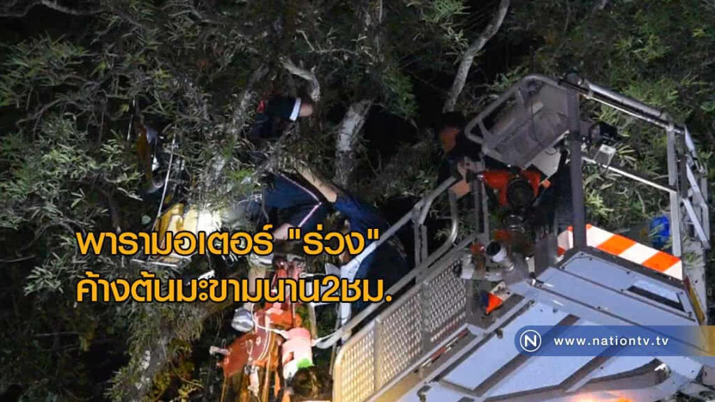 พารามอเตอร์ "ร่วง" ค้างต้นมะขามสูงกว่า 20 เมตร