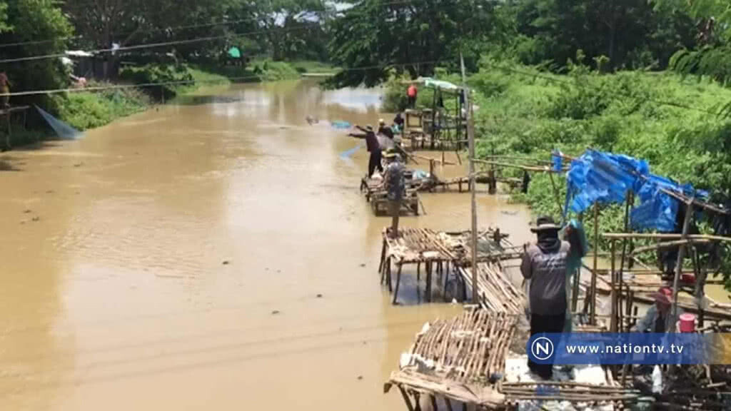 ฝนตกน้ำขึ้น-แห่หาปลาสร้างรายได้วันละพัน ฝนตกน้ำขึ้น-แห่หาปลาสร้างรายได้วันละพัน