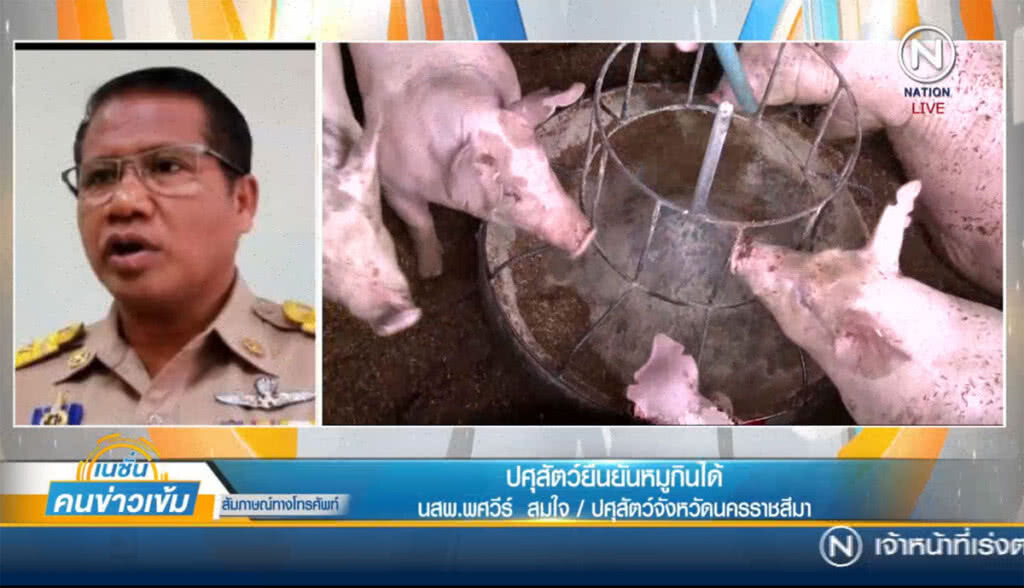 (คลิปข่าว) ปศุสัตว์ยืนยัน หมูโคราชกินได้ (คลิปข่าว) ปศุสัตว์ยืนยัน หมูโคราชกินได้