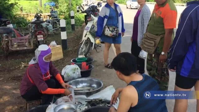 ฝนตกน้ำขึ้น-แห่หาปลาสร้างรายได้วันละพัน