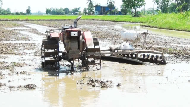 สุดทึ่ง! หนุ่มสุโขทัย หัวใสประดิษฐ์รถไถนาบังคับด้วยรีโมทวิทยุ(มีคลิป)