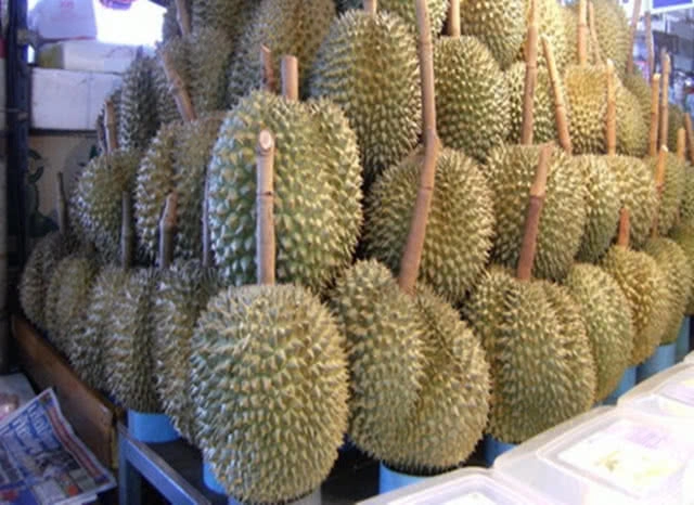 เปิด 8 สายพันธุ์ทุเรียนอร่อย ราชาแห่งผลไม้สยาม