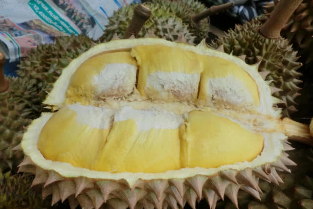 เปิด 8 สายพันธุ์ทุเรียนอร่อย ราชาแห่งผลไม้สยาม