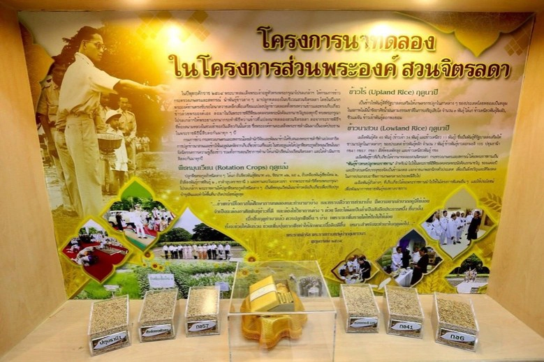 ร.10 พระราชทานพันธุ์ข้าวทรงปลูก 3.61 แสนซอง วันพืชมงคล