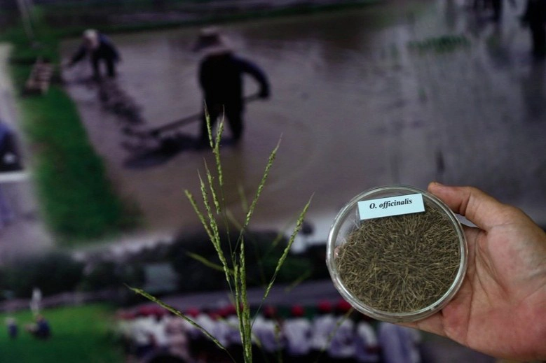 ร.10 พระราชทานพันธุ์ข้าวทรงปลูก 3.61 แสนซอง วันพืชมงคล