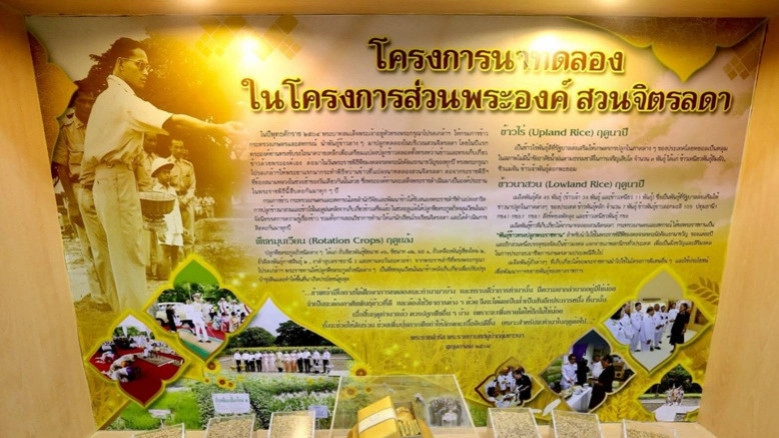 ร.10 พระราชทานพันธุ์ข้าวทรงปลูก 3.61 แสนซอง วันพืชมงคล