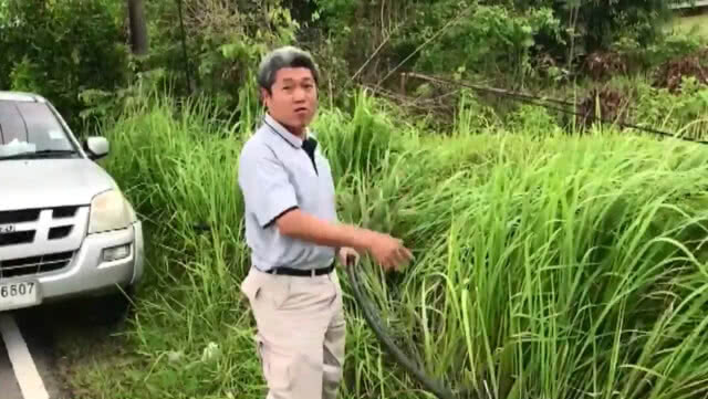 ตั้งรางวัลนำจับ 1 หมื่นบาท คนร้ายตัดสายโทรศัพท์-อินเตอร์เน็ต