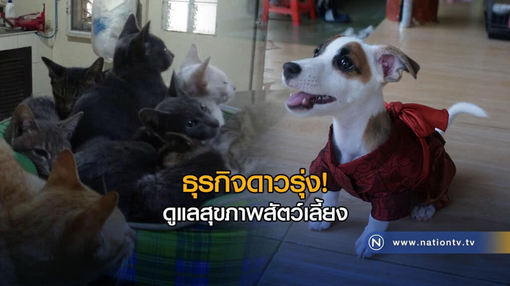 ธุรกิจดาวรุ่ง! ดูแลสุขภาพสัตว์เลี้ยง