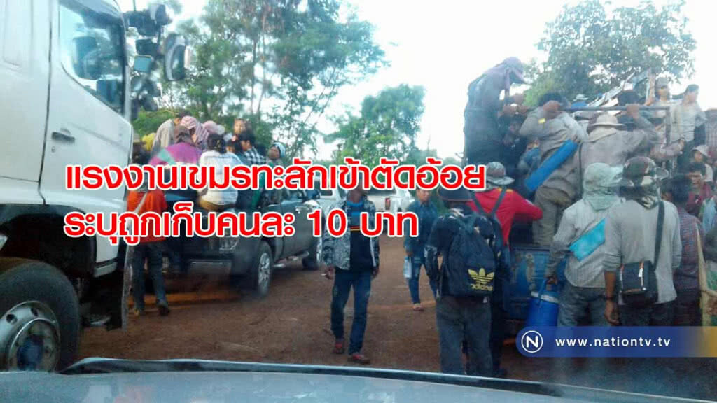 แรงงานเขมรทะลักเข้าตัดอ้อย "ระบุถูกเก็บคนละ 10 บาท"