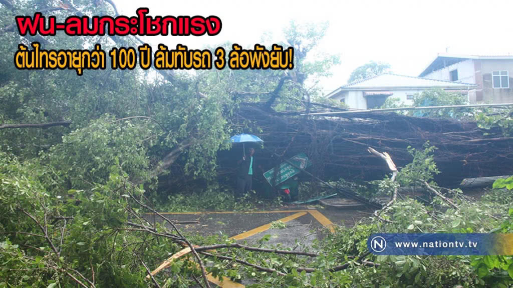 ฝนกระหน่ำ ลมกระโชกแรง ต้นไทรอายุกว่า 100 ปี ล้มทับรถสามล้อพังยับ-เสาไฟฟ้าหัก 2 ต้น(มีคลิป)