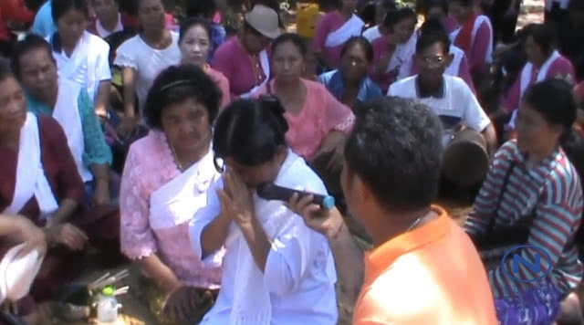 (คลิป) พบต้นตะเคียนทองยักษ์อายุนับพันปี