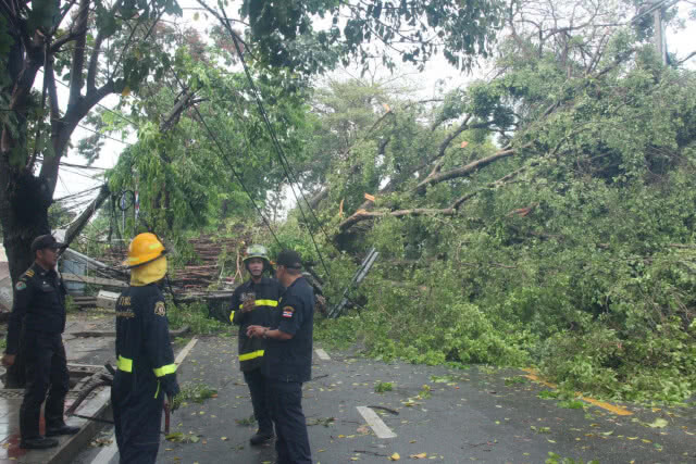 ฝนกระหน่ำ ลมกระโชกแรง ต้นไทรอายุกว่า 100 ปี ล้มทับรถสามล้อพังยับ-เสาไฟฟ้าหัก 2 ต้น(มีคลิป)
