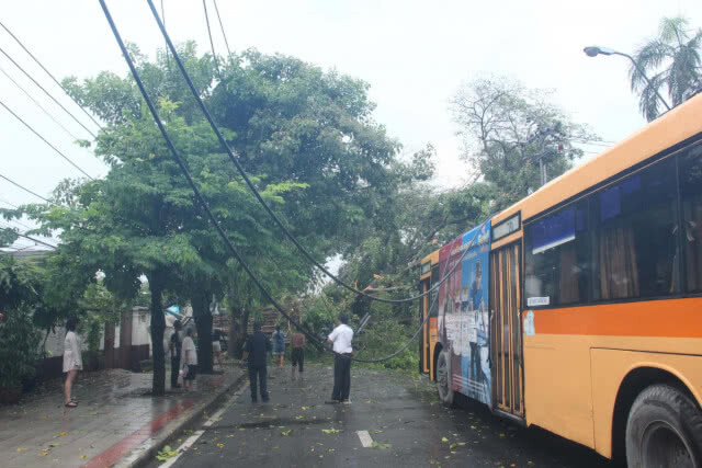 ฝนกระหน่ำ ลมกระโชกแรง ต้นไทรอายุกว่า 100 ปี ล้มทับรถสามล้อพังยับ-เสาไฟฟ้าหัก 2 ต้น(มีคลิป)