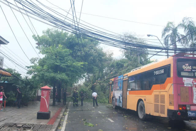 ฝนกระหน่ำ ลมกระโชกแรง ต้นไทรอายุกว่า 100 ปี ล้มทับรถสามล้อพังยับ-เสาไฟฟ้าหัก 2 ต้น(มีคลิป)