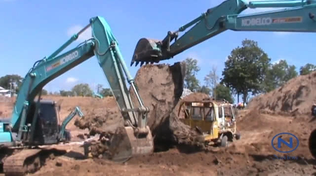 (คลิป) พบต้นตะเคียนทองยักษ์อายุนับพันปี