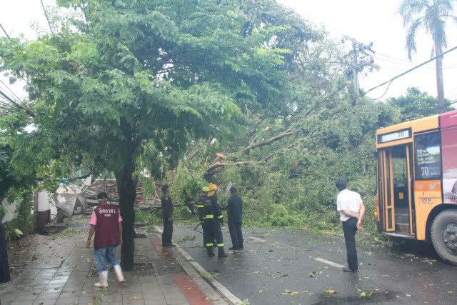 ฝนกระหน่ำ ลมกระโชกแรง ต้นไทรอายุกว่า 100 ปี ล้มทับรถสามล้อพังยับ-เสาไฟฟ้าหัก 2 ต้น(มีคลิป)