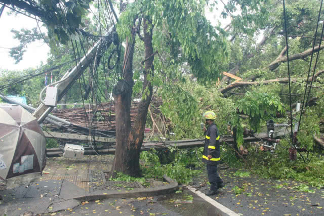 ฝนกระหน่ำ ลมกระโชกแรง ต้นไทรอายุกว่า 100 ปี ล้มทับรถสามล้อพังยับ-เสาไฟฟ้าหัก 2 ต้น(มีคลิป)
