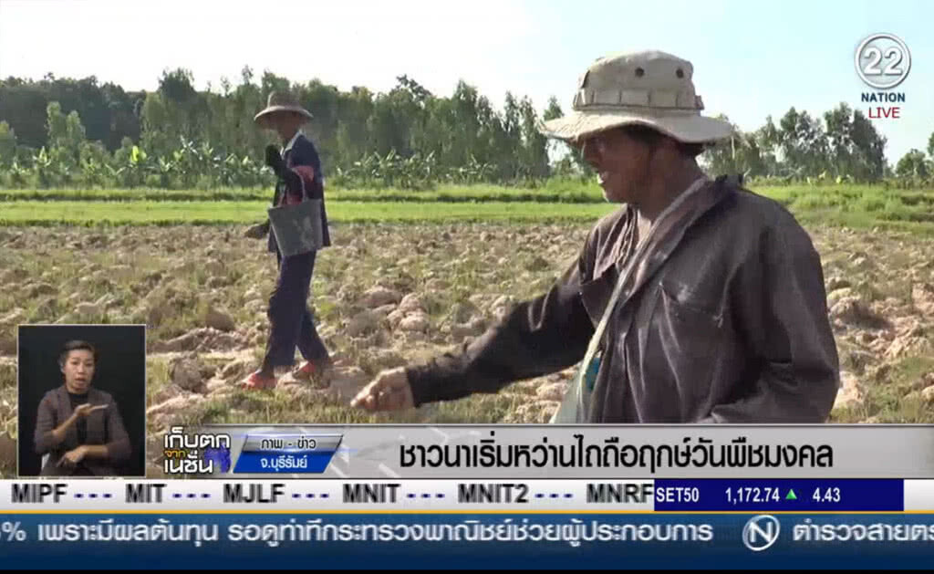 (คลิปข่าว) ชาวนาบุรีรัมย์เริ่มหว่านไถ ถือฤกษ์วันพืชมงคล (คลิปข่าว) ชาวนาบุรีรัมย์เริ่มหว่านไถ ถือฤกษ์วันพืชมงคล