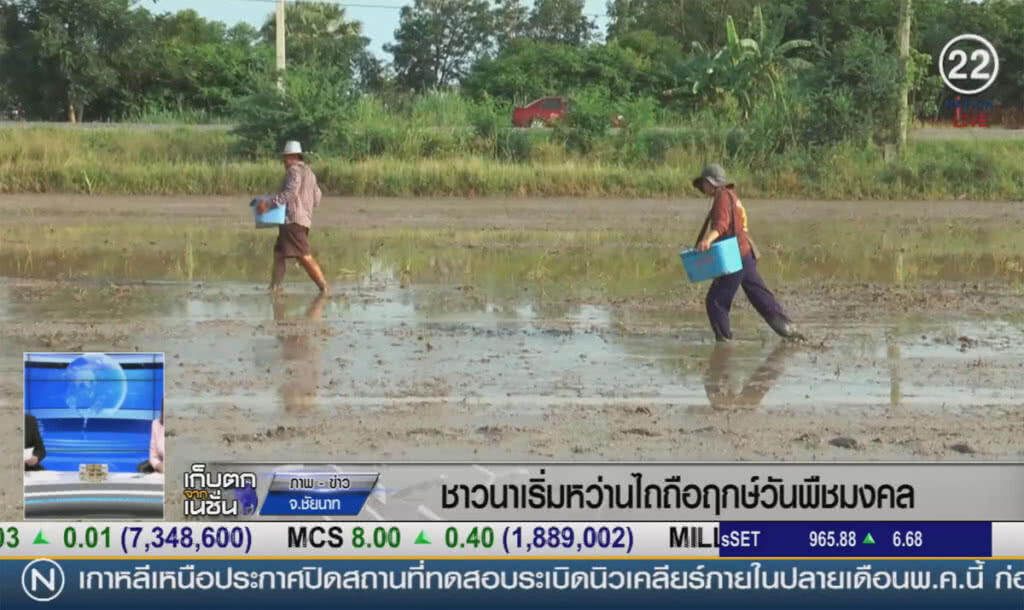 (คลิปข่าว) ชาวนาชัยนาทหว่านเมล็ดพันธุ์ข้าว ถือฤกษ์วันพืชมงคล (คลิปข่าว) ชาวนาชัยนาทหว่านเมล็ดพันธุ์ข้าว ถือฤกษ์วันพืชมงคล