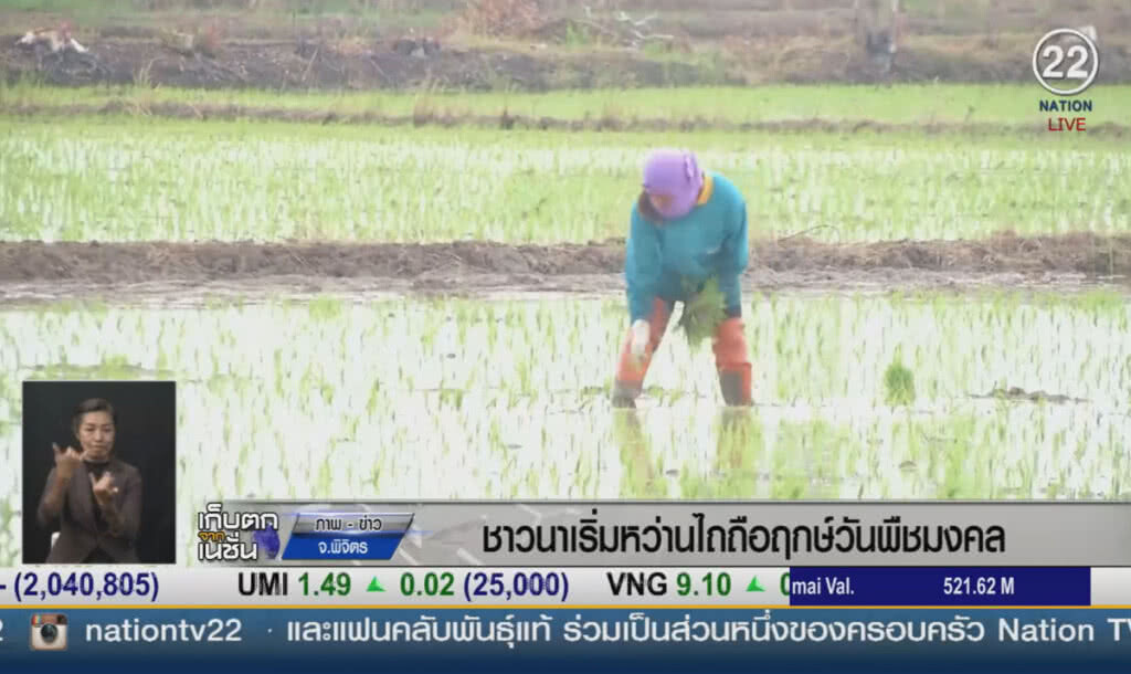 (คลิปข่าว) ชาวนาพิจิตรถือฤกษ์วันพืชมงคล ปักดำข้าว (คลิปข่าว) ชาวนาพิจิตรถือฤกษ์วันพืชมงคล ปักดำข้าว