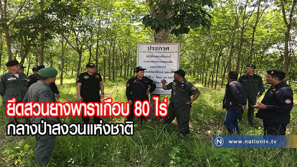 บุกยึดสวนยางพาราเกือบ 80 ไร่ กลางป่าสงวนแห่งชาติแม่ทรายคำ