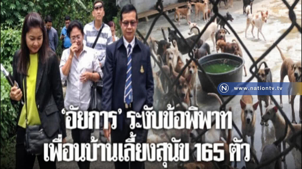 อัยการจังหวัดคุ้มครองสิทธิฯ ยะลา ช่วยจบปัญหาสุนัข 165 ตัว อัยการจังหวัดคุ้มครองสิทธิฯ ยะลา ช่วยจบปัญหาสุนัข 165 ตัว