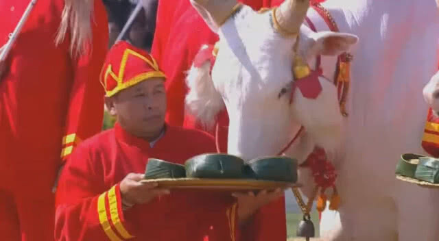 (คลิป) พระยาแรกนา เสี่ยงทายได้ผ้านุ่ง6คืบ พระโคกินน้ำ-หญ้า-เหล้า