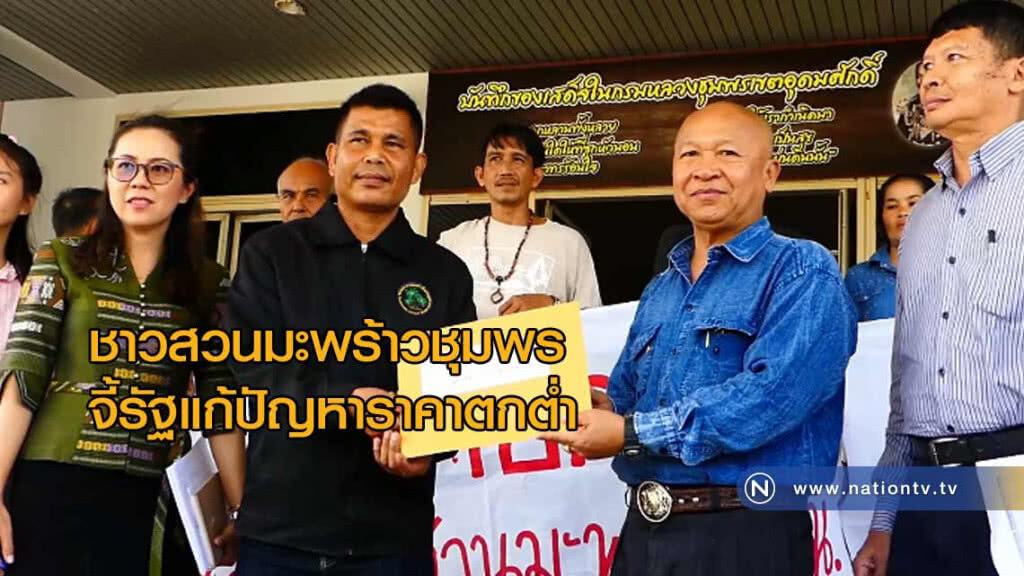 ชาวสวนมะพร้าวชุมพร "จี้รัฐแก้ปัญหาราคาตกต่ำ"