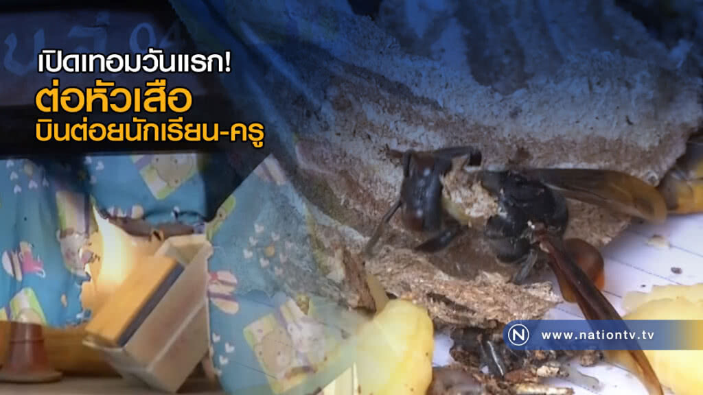 เปิดเทอมวันแรก! ต่อหัวเสือบินต่อยนักเรียน-ครู