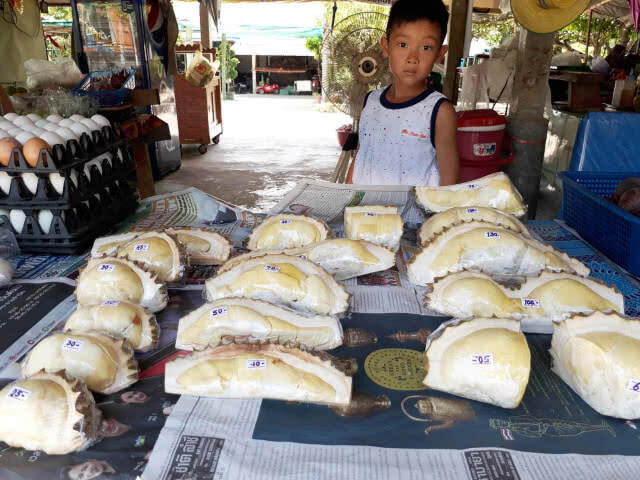 ทุเรียนมินิ เริ่มที่ 25 บาท ก็กินได้แล้ว