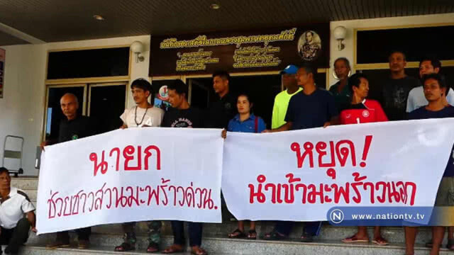 ชาวสวนมะพร้าวชุมพร "จี้รัฐแก้ปัญหาราคาตกต่ำ"