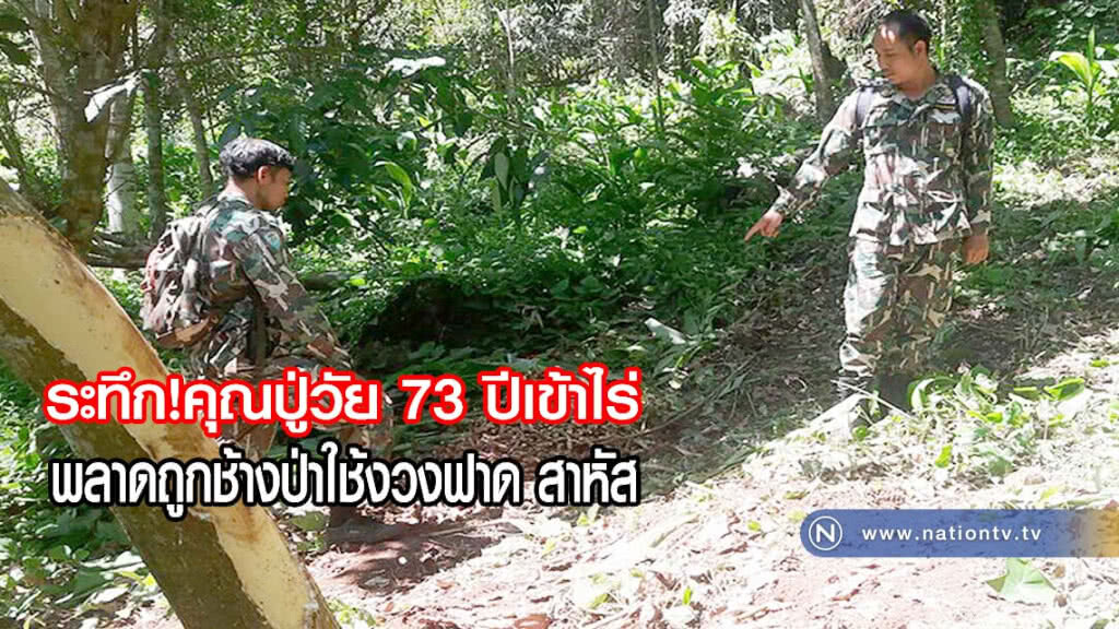 ระทึกคุณปู่วัย 73 ปี เข้าไร่ขุดขมิ้น กลางป่า พลาดถูกช้างป่าใช้งวงฟาด สาหัส