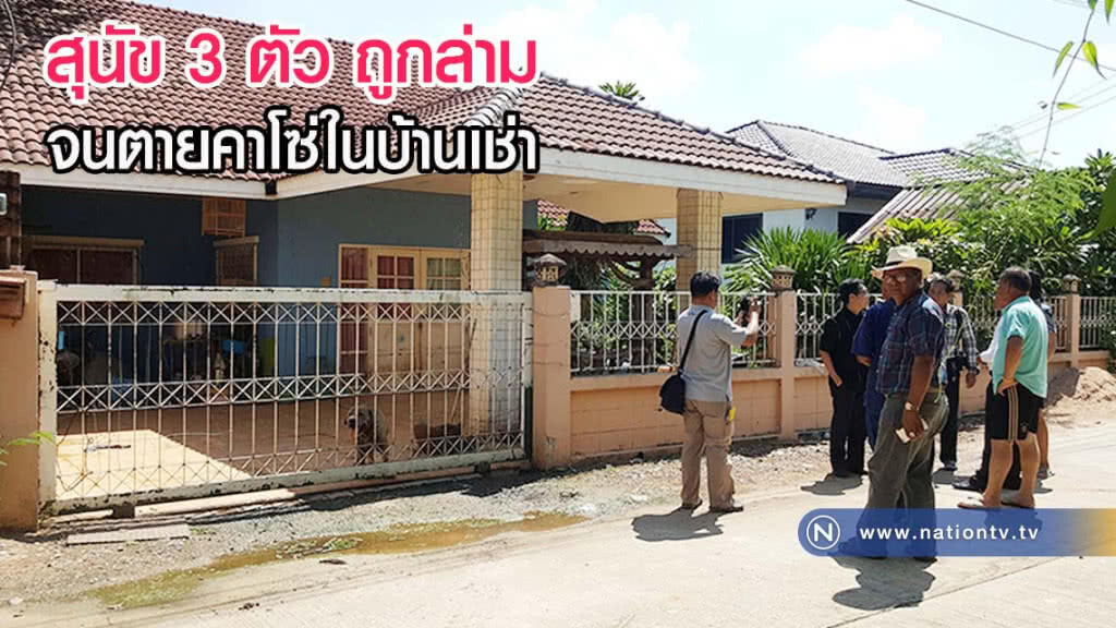 คนรักหมาน้ำตาซึม !! หมา 3 ตัว ถูกล่ามจนตายค่าโซ่ในบ้านเช่าเมืองสระแก้ว(มีคลิป)