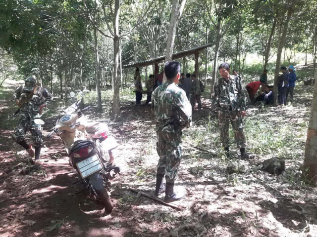 ระทึกคุณปู่วัย 73 ปี เข้าไร่ขุดขมิ้น กลางป่า พลาดถูกช้างป่าใช้งวงฟาด สาหัส