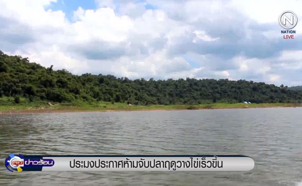 (คลิปข่าว) ประมงประกาศห้ามจับปลาฤดูวางไข่เร็วขึ้น (คลิปข่าว) ประมงประกาศห้ามจับปลาฤดูวางไข่เร็วขึ้น