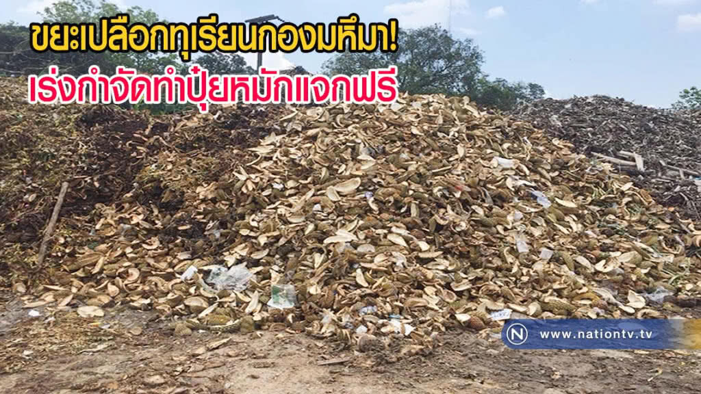 ขยะเปลือกทุเรียนกองมหึมา เร่งกำจัดทำปุ๋ยหมักแจกฟรี(มีคลิป)