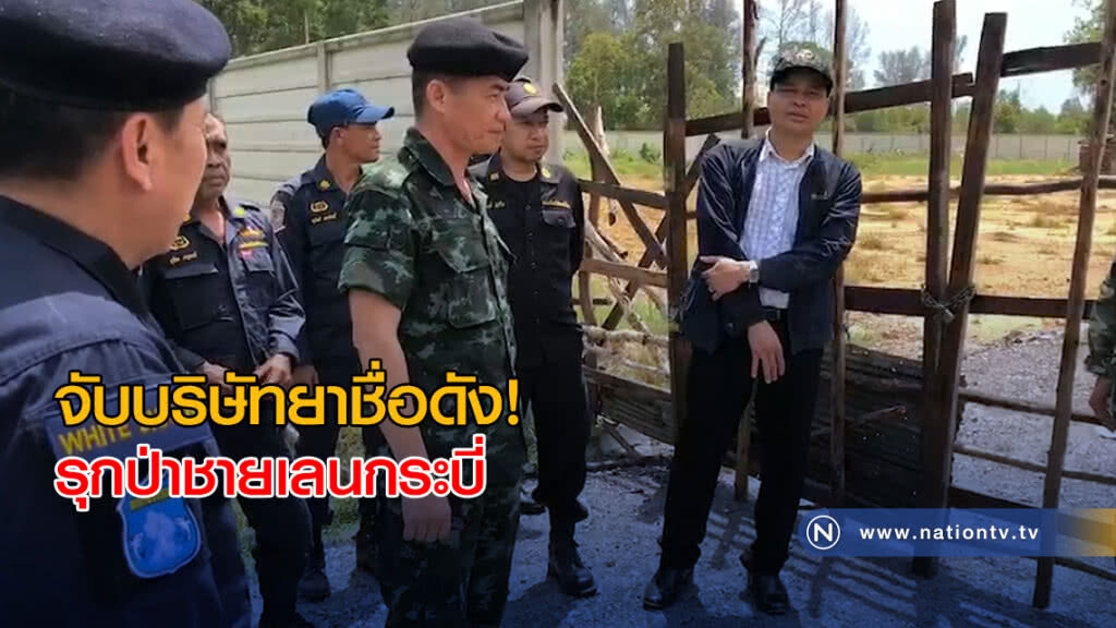 จับบริษัทยาชื่อดัง! รุกป่าชายเลนกระบี่ จับบริษัทยาชื่อดัง! รุกป่าชายเลนกระบี่
