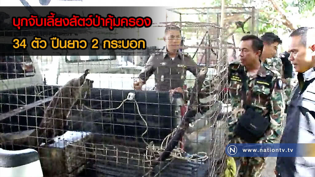 บุกบ้านลักลอบเลี้ยงสัตว์ป่าคุ้มครอง พบ 34 ตัว พร้อมปืนยาวติดลำกล้อง 2 กระบอก