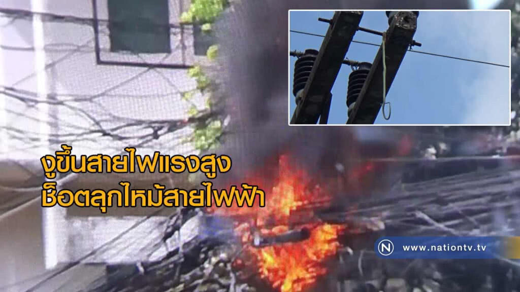 'งูเป็นเหตุ'ขึ้นสายไฟแรงสูงช็อตลุกไหม้สายไฟ-สายโทรศัพท์