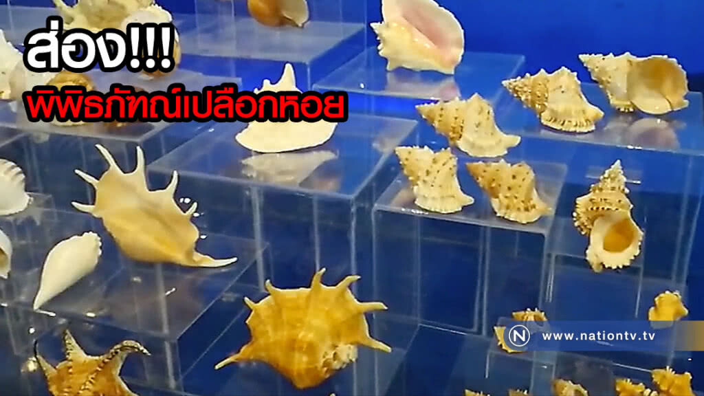 ส่อง! พิพิธภัฑณ์เปลือกหอยภูเก็ต แหล่งความรู้เด็กอีสาน(คลิป) ส่อง! พิพิธภัฑณ์เปลือกหอยภูเก็ต แหล่งความรู้เด็กอีสาน(คลิป)