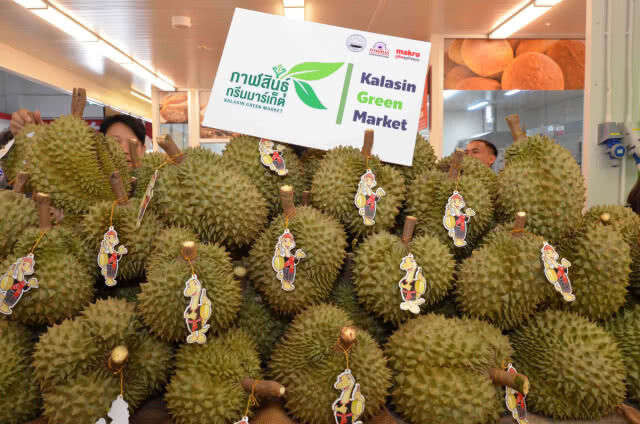 อึ้งทุเรียนสามชัยกาฬสินธุ์ 5 ลูก ราคาครึ่งแสน(มีคลิป)