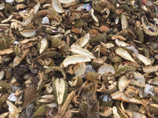 ขยะเปลือกทุเรียนกองมหึมา เร่งกำจัดทำปุ๋ยหมักแจกฟรี(มีคลิป)