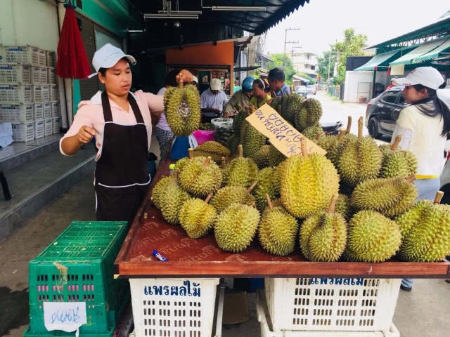ขยะเปลือกทุเรียนกองมหึมา เร่งกำจัดทำปุ๋ยหมักแจกฟรี(มีคลิป)
