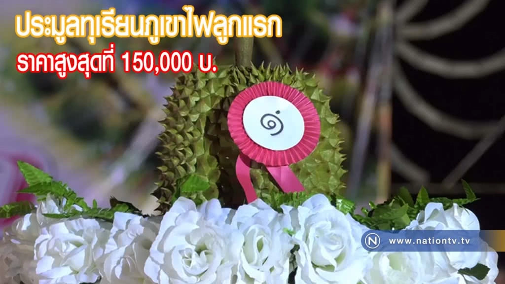 เปิดประมูลทุเรียนภูเขาไฟลูกแรก ราคาสูงสุดที่ 150,000 บ.(มีคลิป)